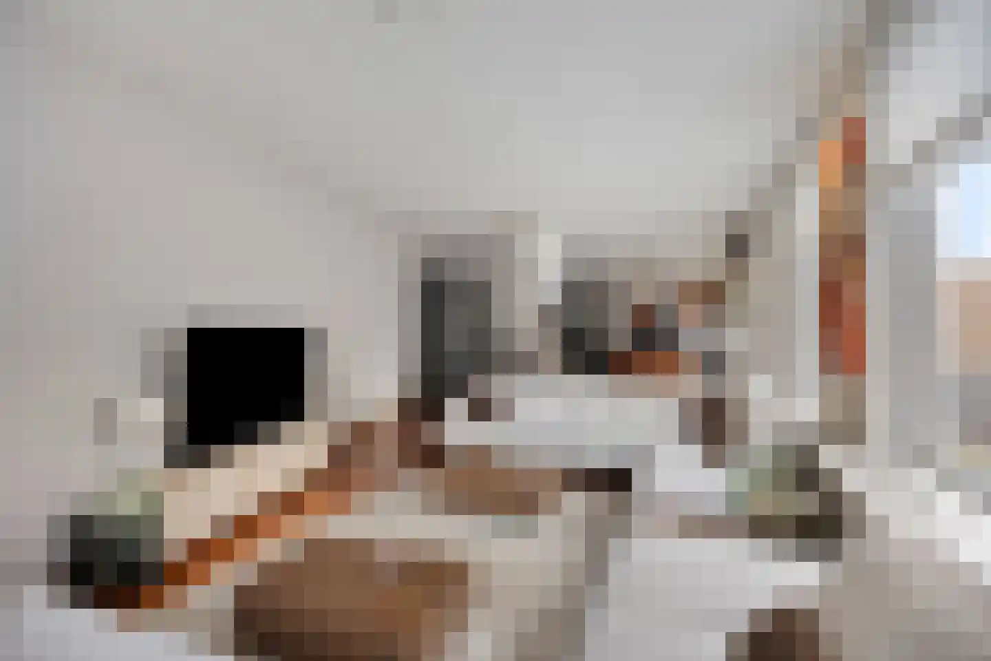 Heer Kerstantstraat 109 A Rotterdam thumbnail 6