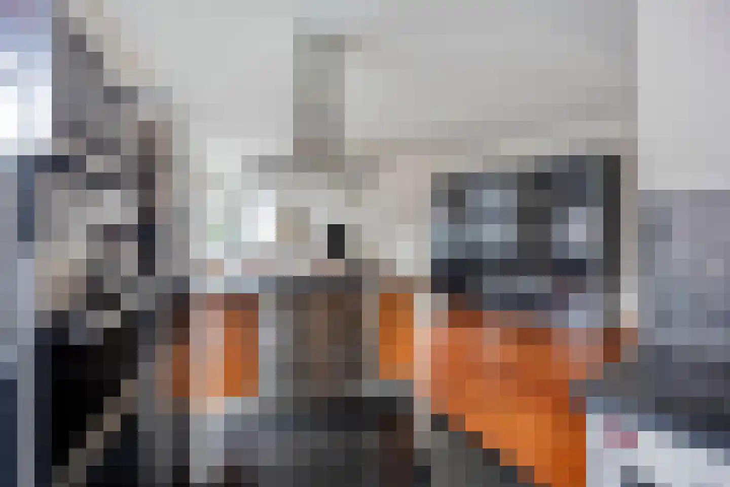 Heer Kerstantstraat 109 A Rotterdam thumbnail 6