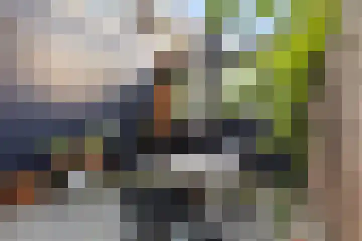 Heer Nicolaesstraat 65 A Rotterdam thumbnail 18
