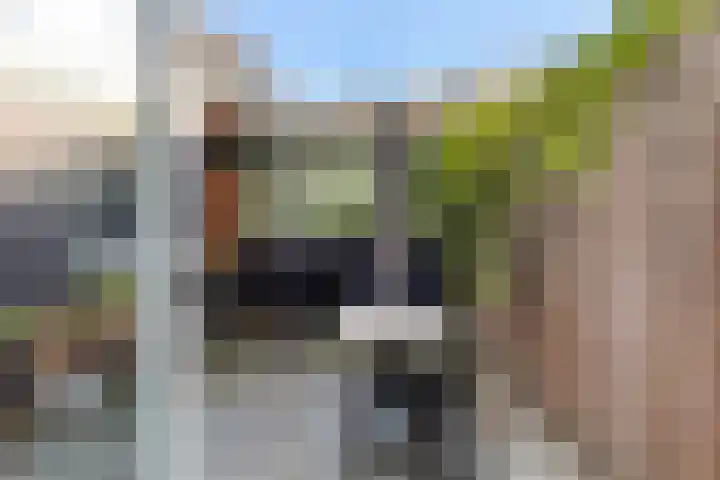 Heer Nicolaesstraat 65 A Rotterdam thumbnail 21
