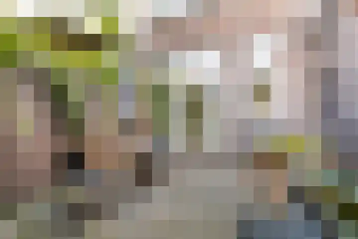 Heer Nicolaesstraat 65 A Rotterdam thumbnail 4