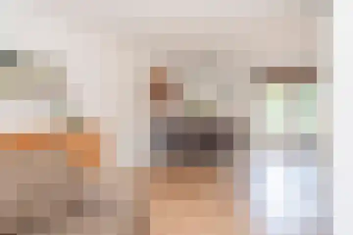 Heer Ottostraat 42 Born thumbnail 11