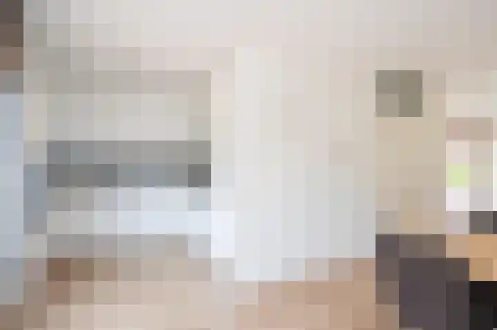 Heer Ottostraat 42 Born thumbnail 14