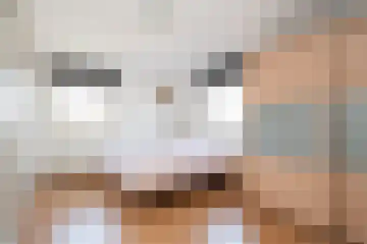 Heer Ottostraat 42 Born thumbnail 21