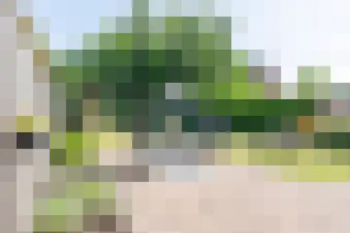 Heer Ottostraat 42 Born thumbnail 31