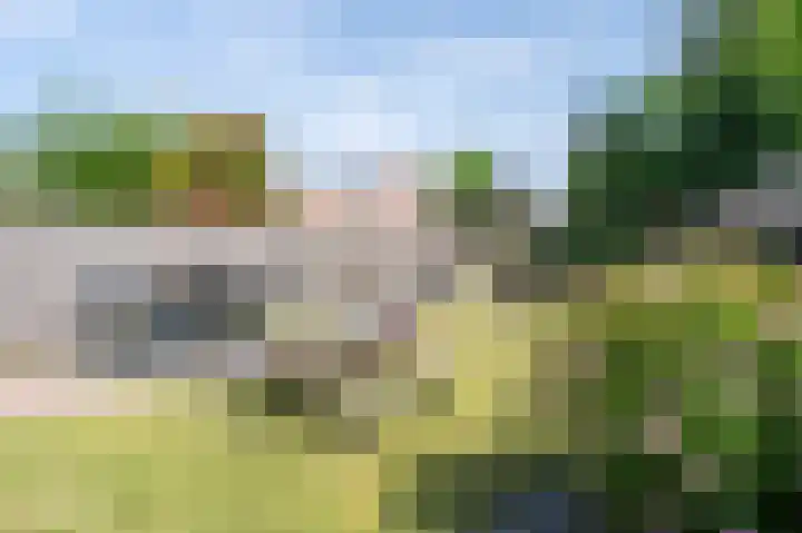 Heer Ottostraat 42 Born thumbnail 32