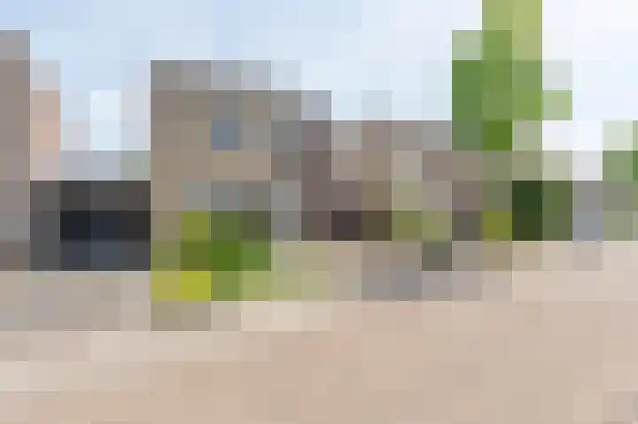 Heer Ottostraat 42 Born thumbnail 4
