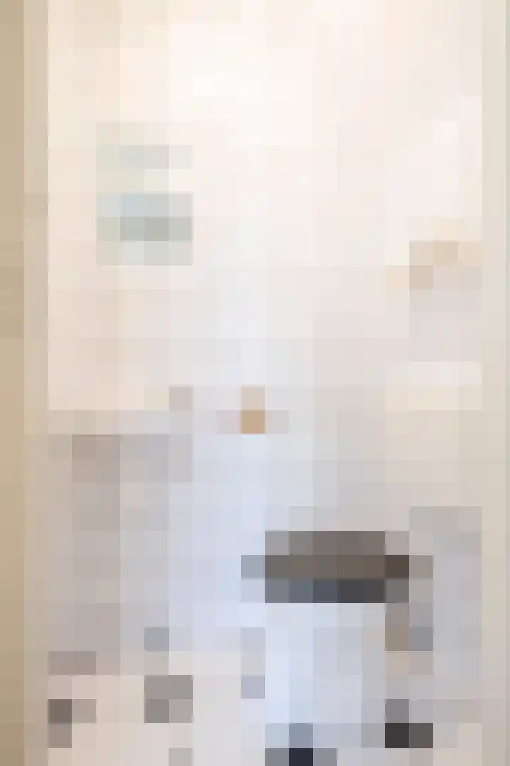 Heer Ottostraat 42 Born thumbnail 6