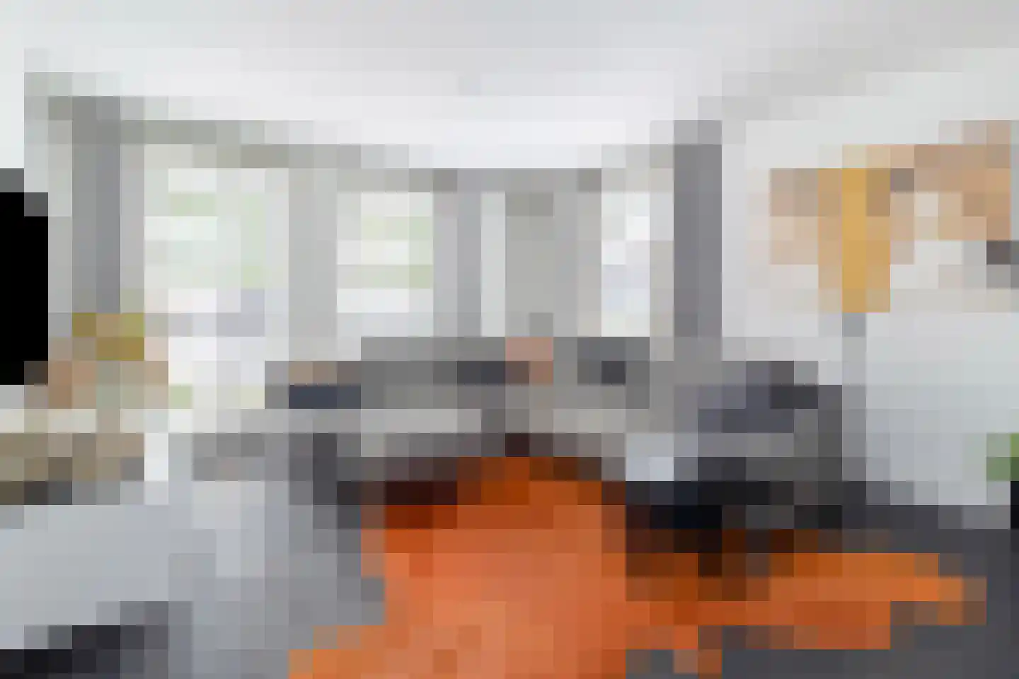 Heer Ottostraat 45 Born thumbnail 13