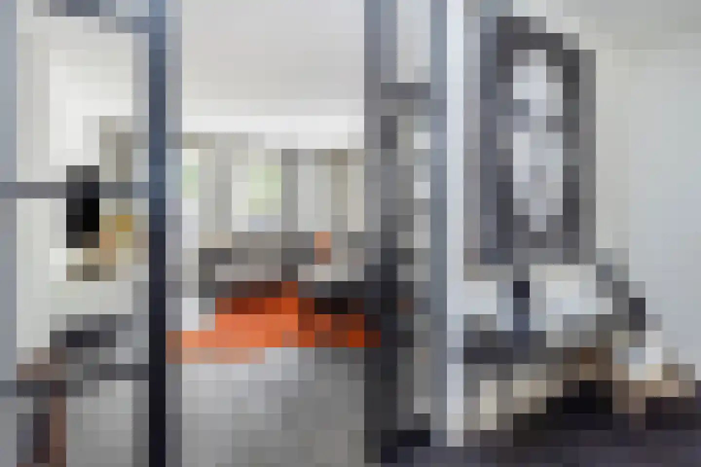 Heer Ottostraat 45 Born thumbnail 16