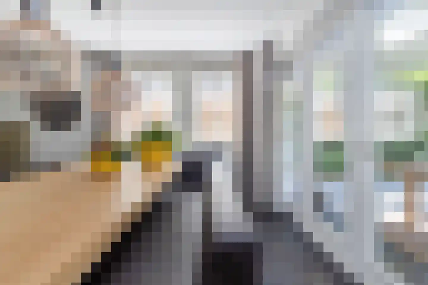 Heer Ottostraat 45 Born thumbnail 21