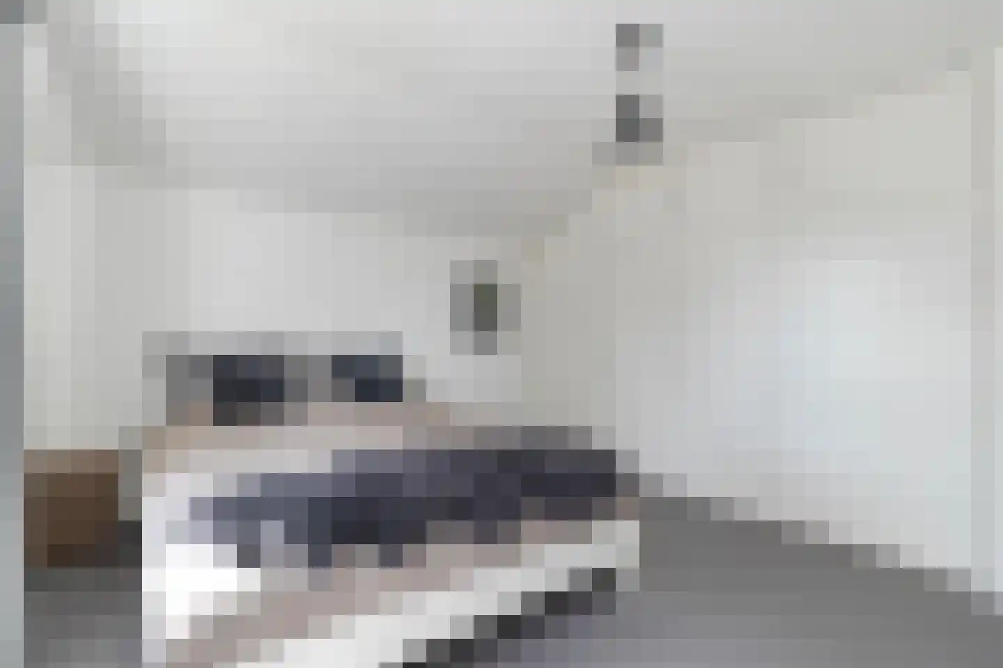 Heer Ottostraat 45 Born thumbnail 32