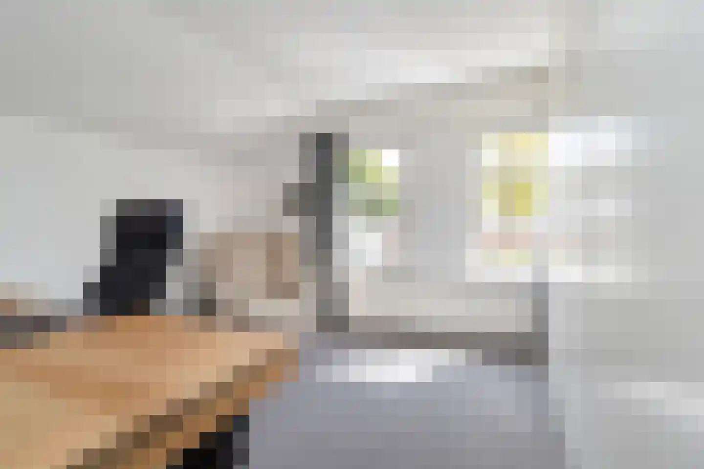 Heer Ottostraat 45 Born thumbnail 34