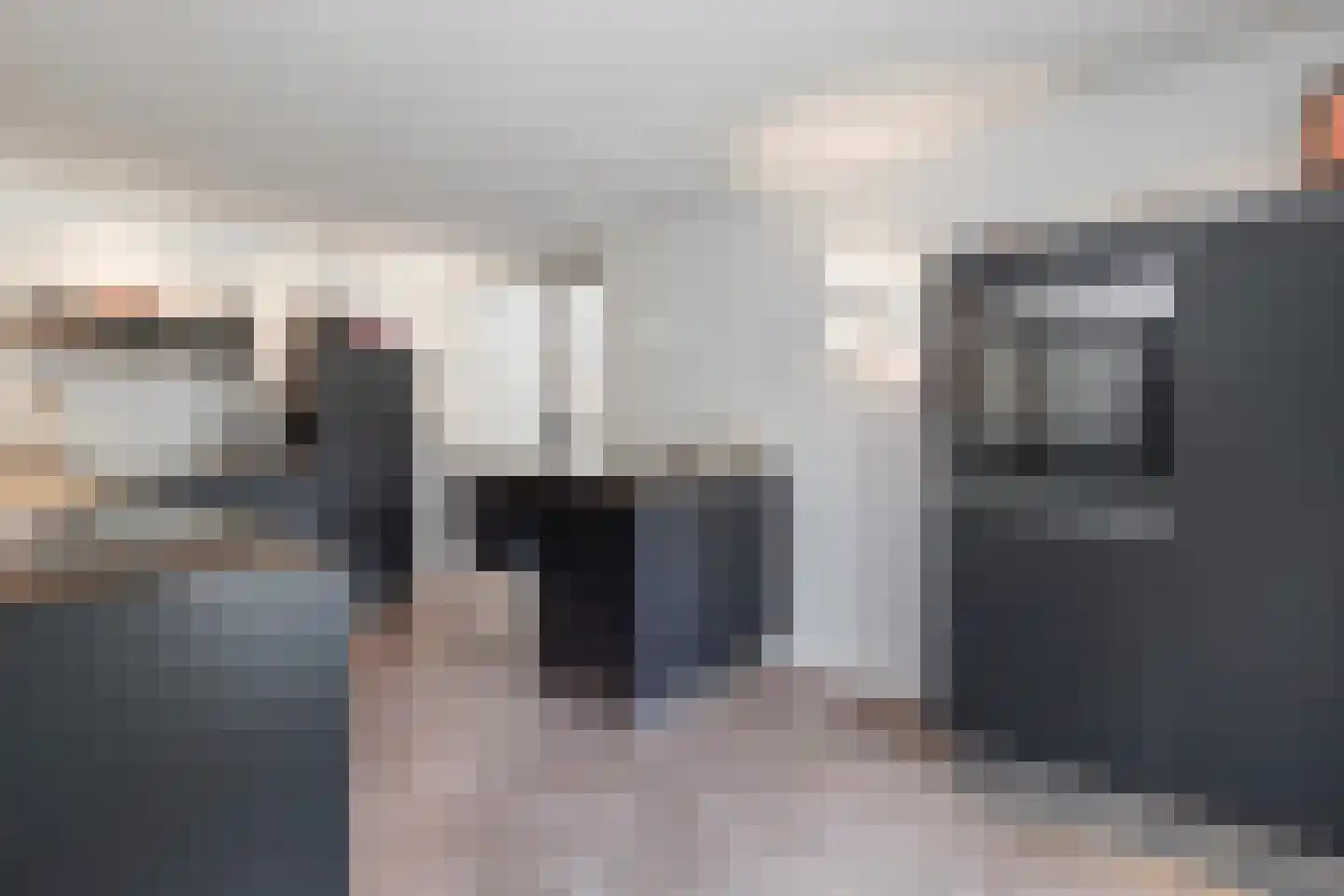Heer Ottostraat 45 Born thumbnail 4