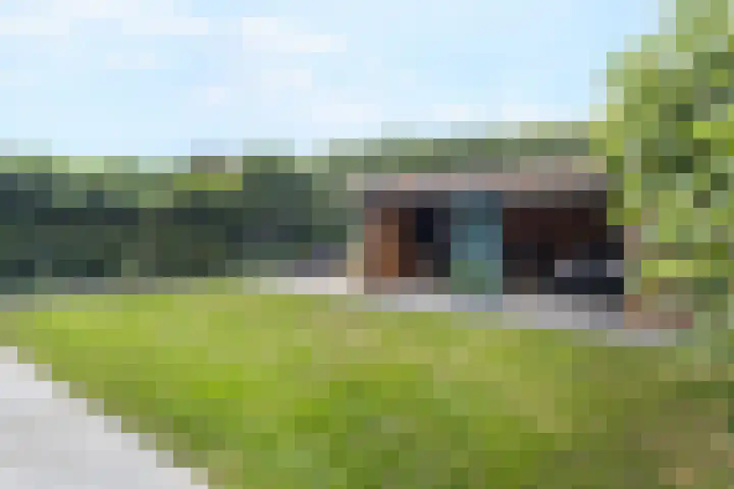 Heer Ottostraat 45 Born thumbnail 43