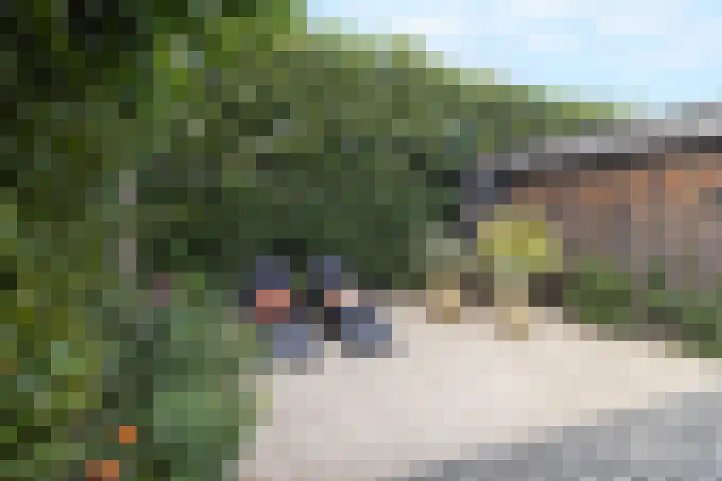 Heer Ottostraat 45 Born thumbnail 46
