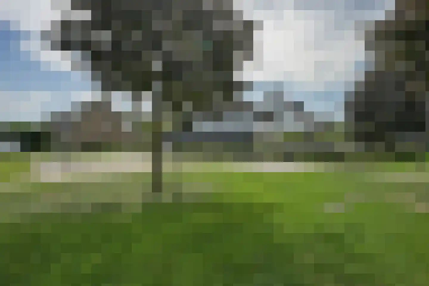 Heer Ottostraat 51 Born thumbnail 39