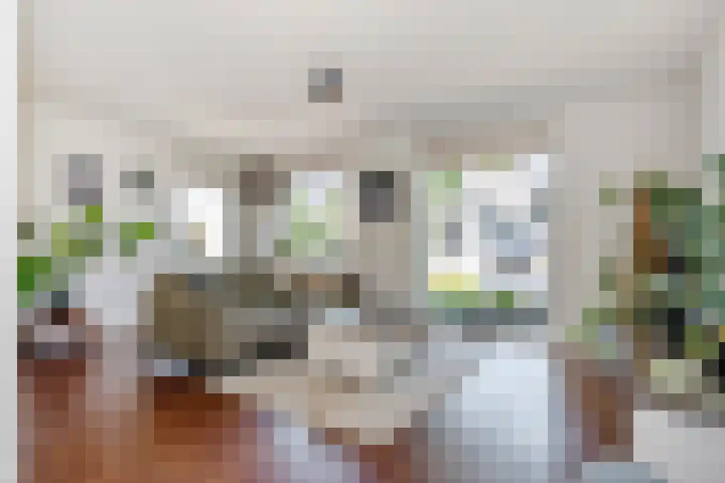 Heer Ottostraat 56 Born thumbnail 12