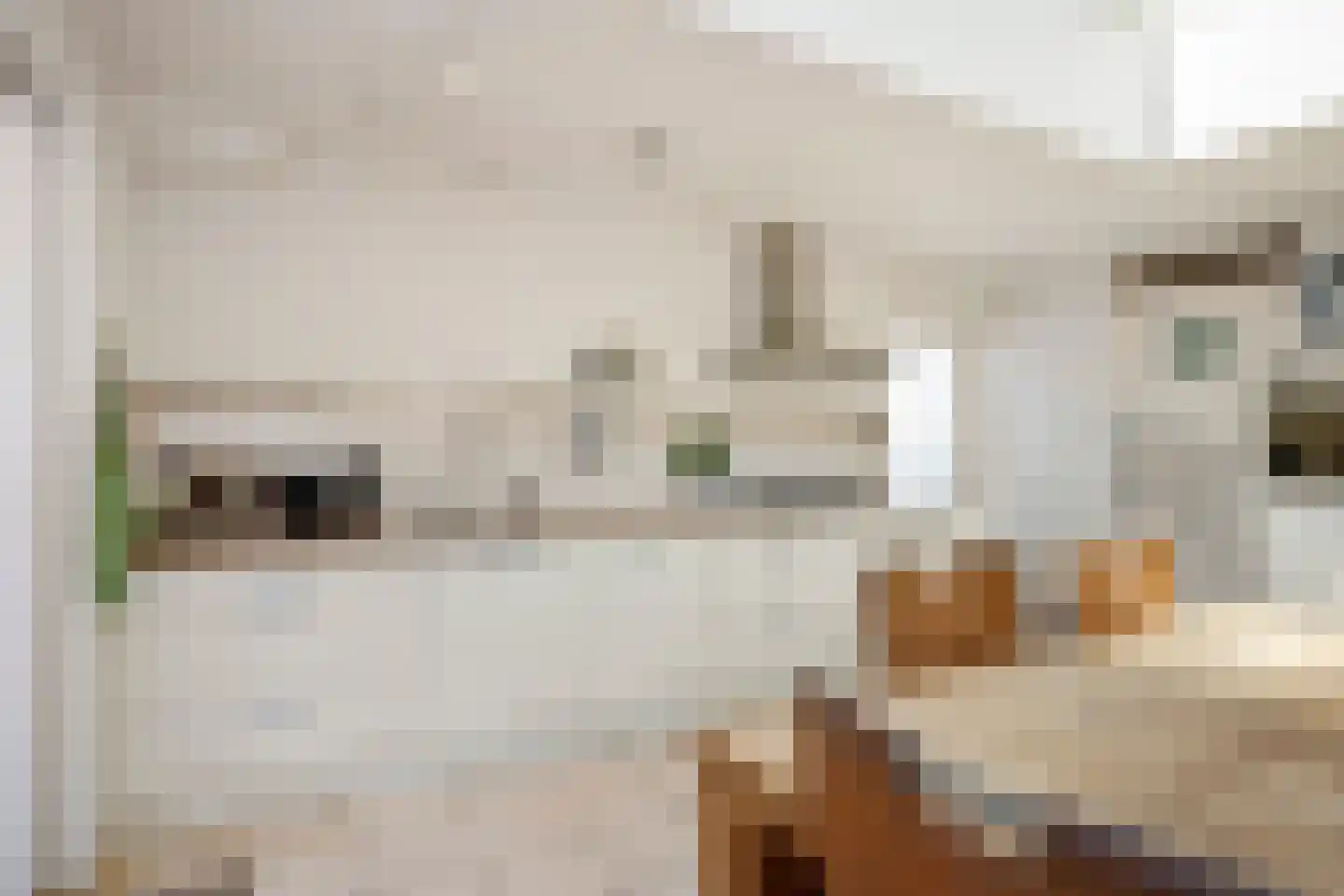 Heer Ottostraat 56 Born thumbnail 17