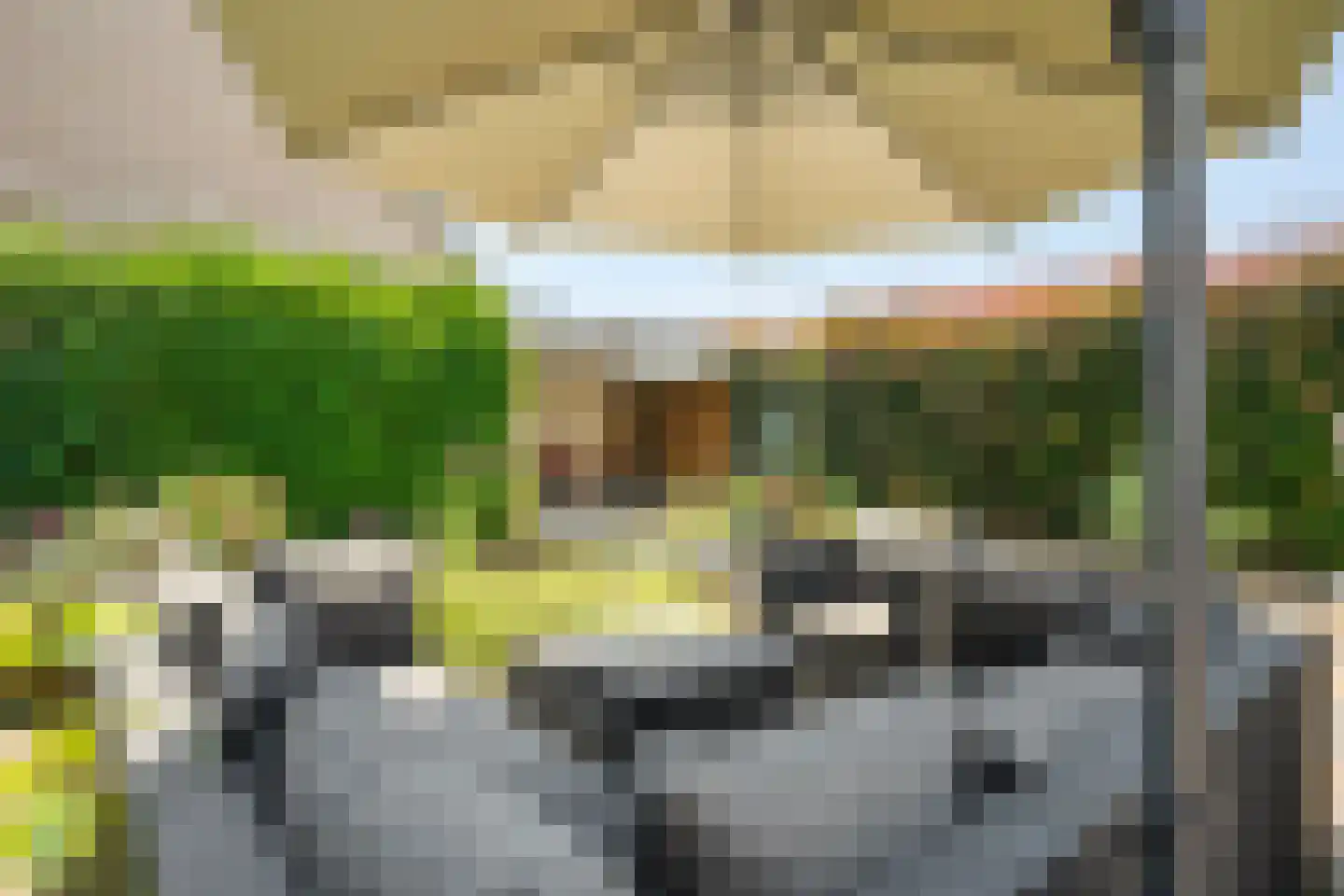 Heer Ottostraat 56 Born thumbnail 21