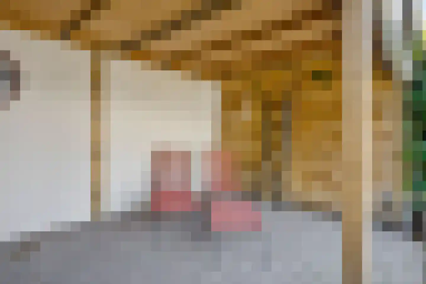 Heer Ottostraat 56 Born thumbnail 23