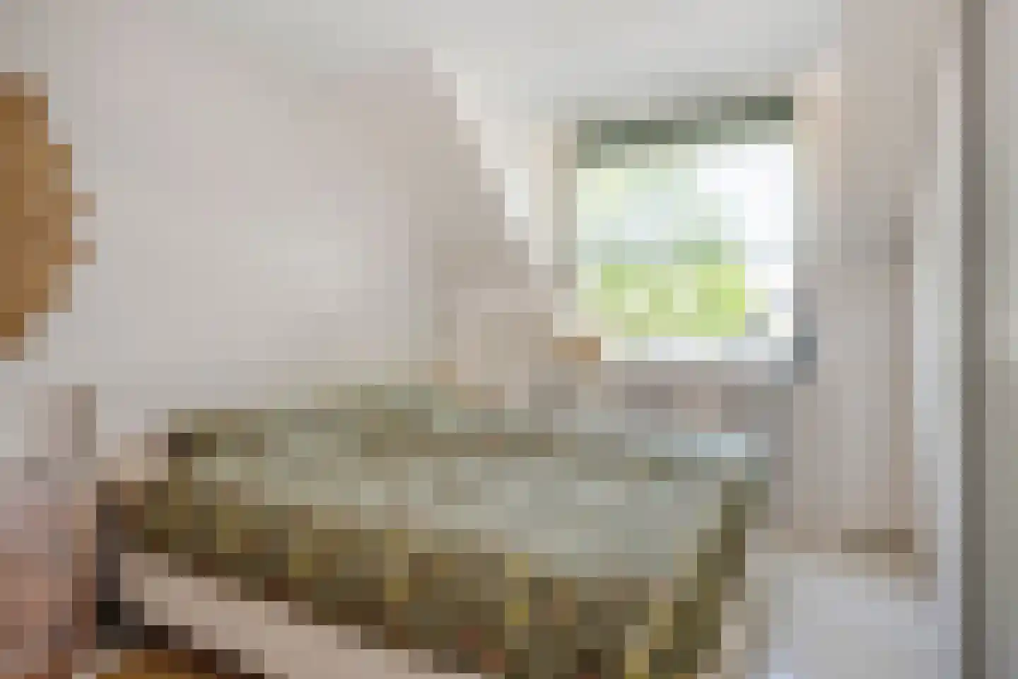 Heer Ottostraat 56 Born thumbnail 29