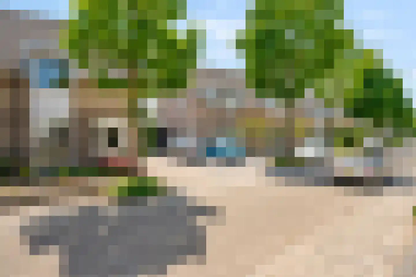 Heer Ottostraat 56 Born thumbnail 7