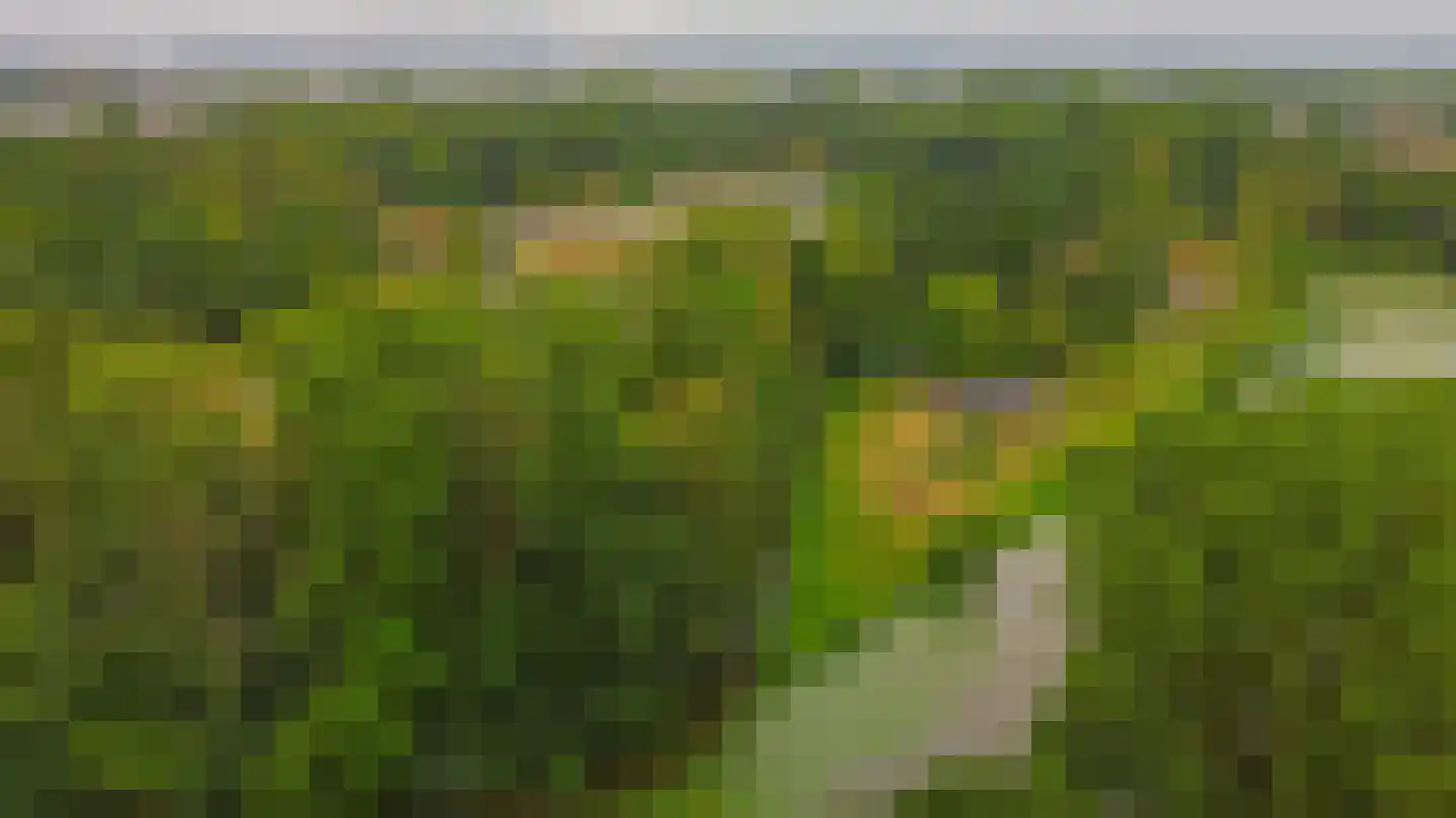 Heer Oudelandslaan 39 Zwijndrecht thumbnail 36