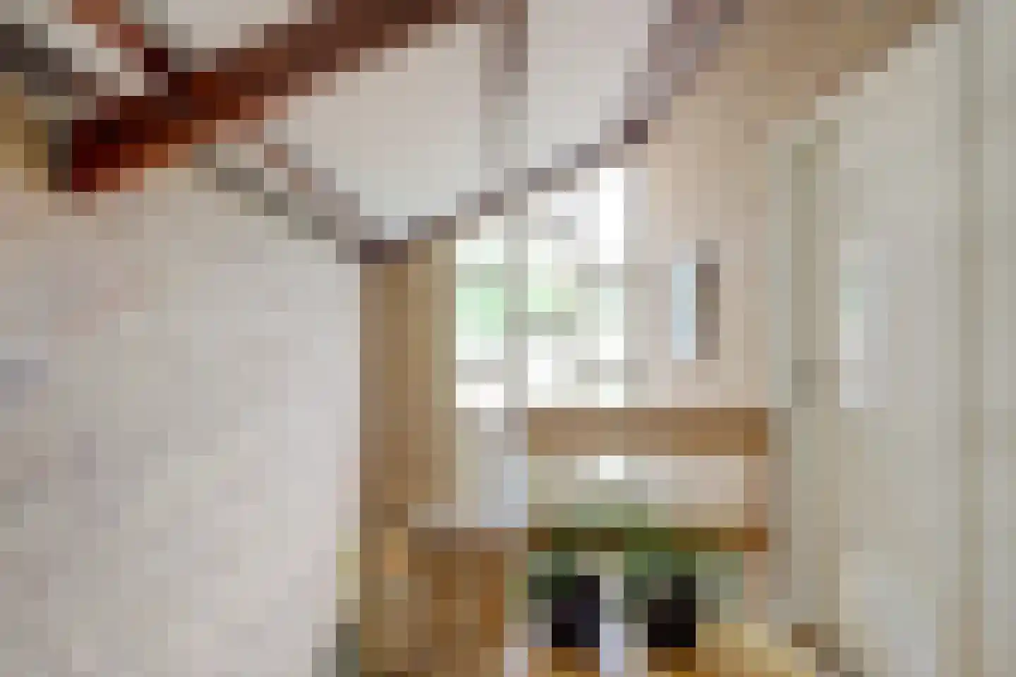 Heer Rudolfstraat 37 Borculo thumbnail 19