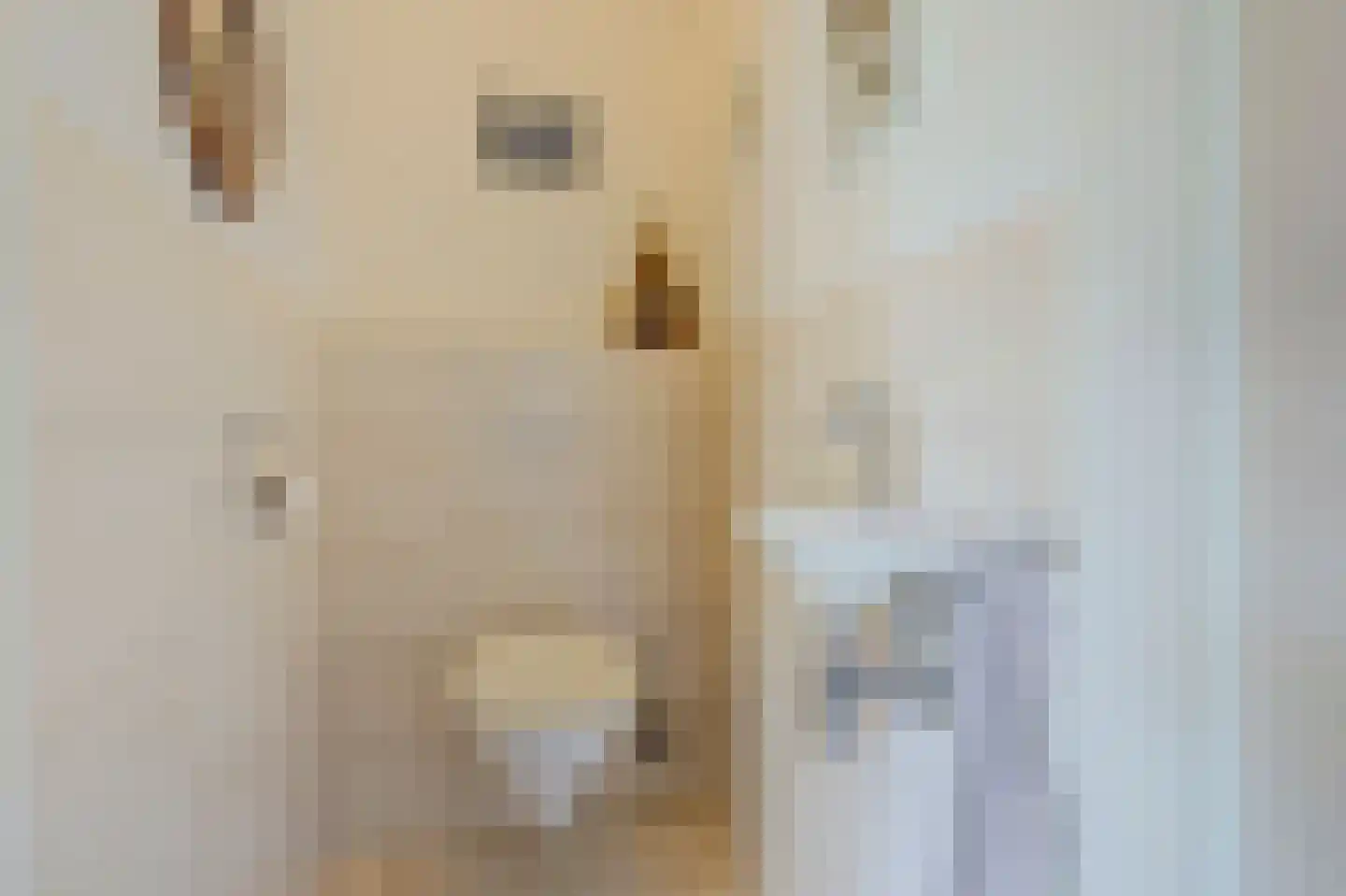 Heer Rudolfstraat 37 Borculo thumbnail 20
