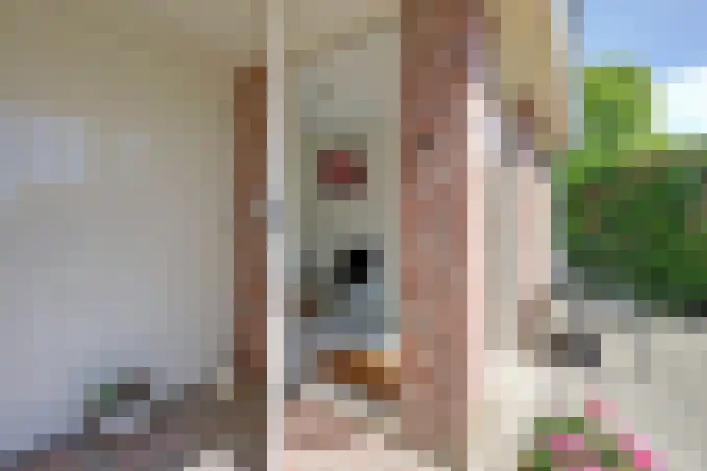 Heer Rudolfstraat 37 Borculo thumbnail 26