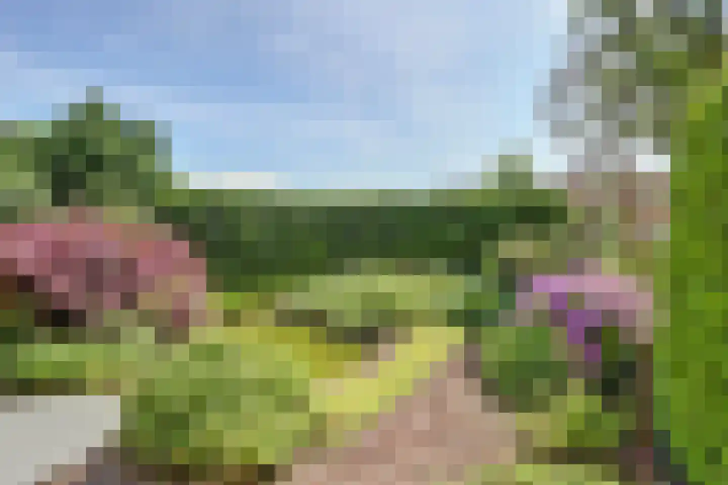 Heer Rudolfstraat 37 Borculo thumbnail 34