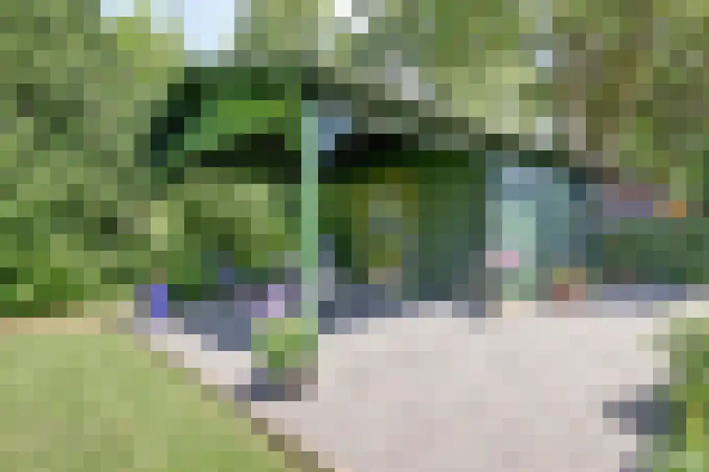 Heer Rudolfstraat 37 Borculo thumbnail 37