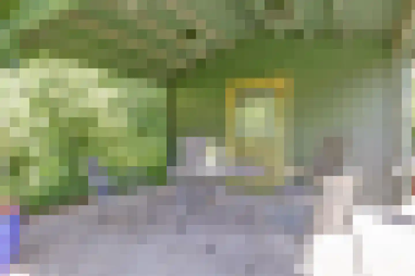 Heer Rudolfstraat 37 Borculo thumbnail 38
