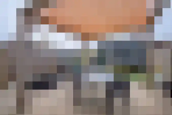 Heer Rudolfstraat 60 Borculo thumbnail 22