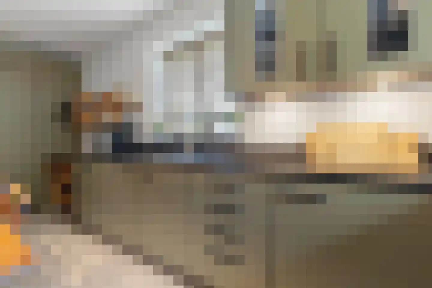 Heer van Rodestraat 114 Mierlo thumbnail 16