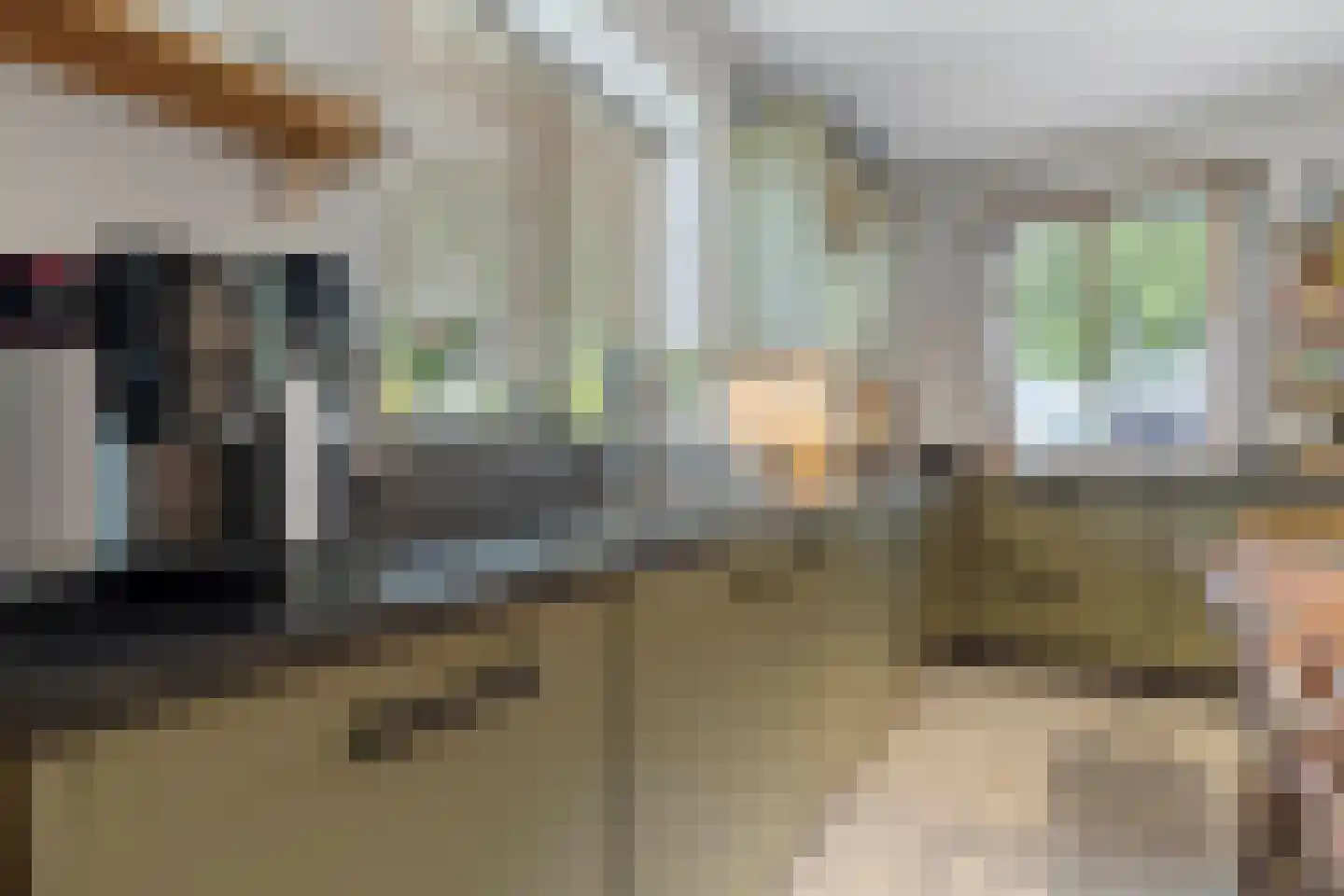 Heer van Rodestraat 114 Mierlo thumbnail 17