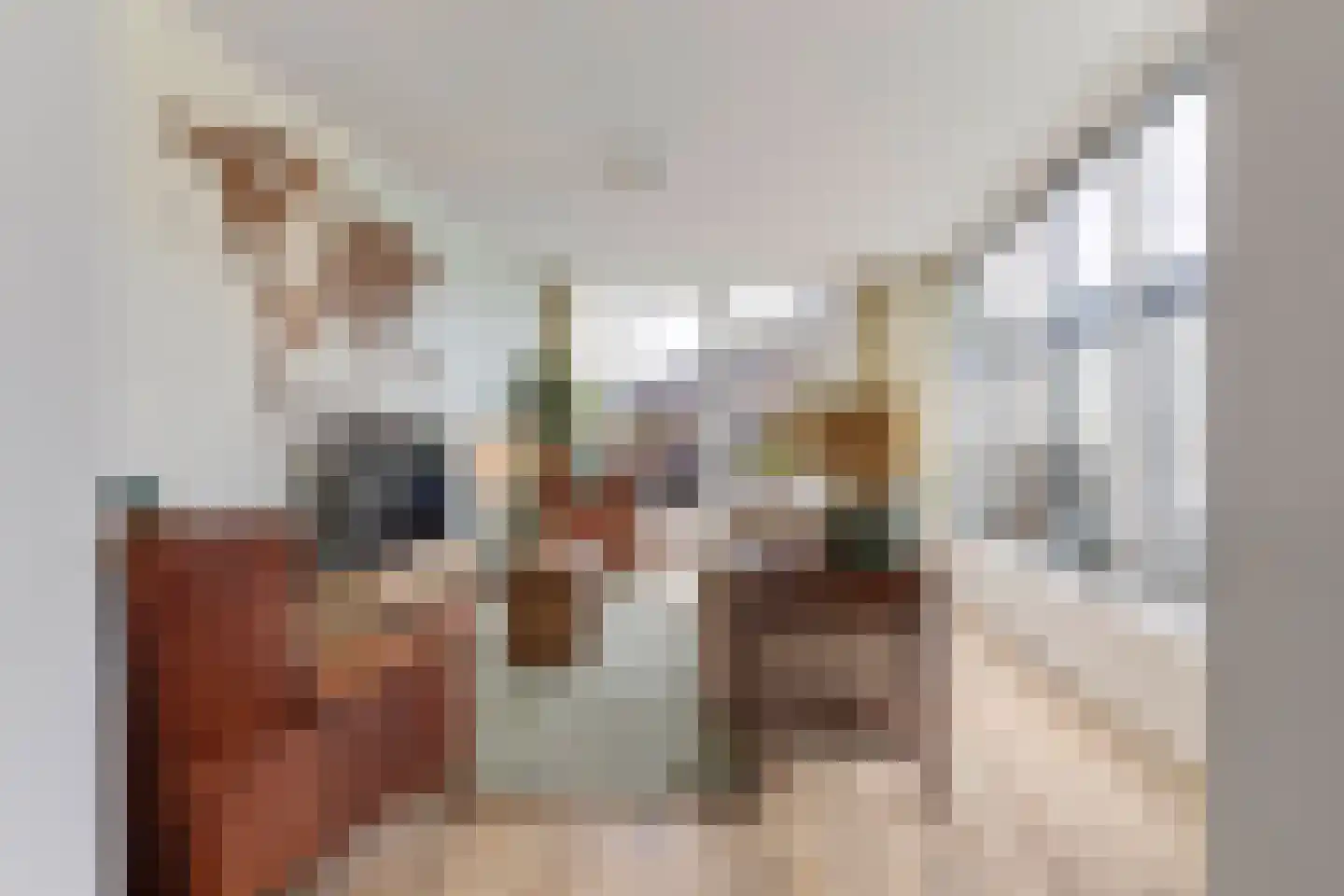 Heer van Rodestraat 114 Mierlo thumbnail 23