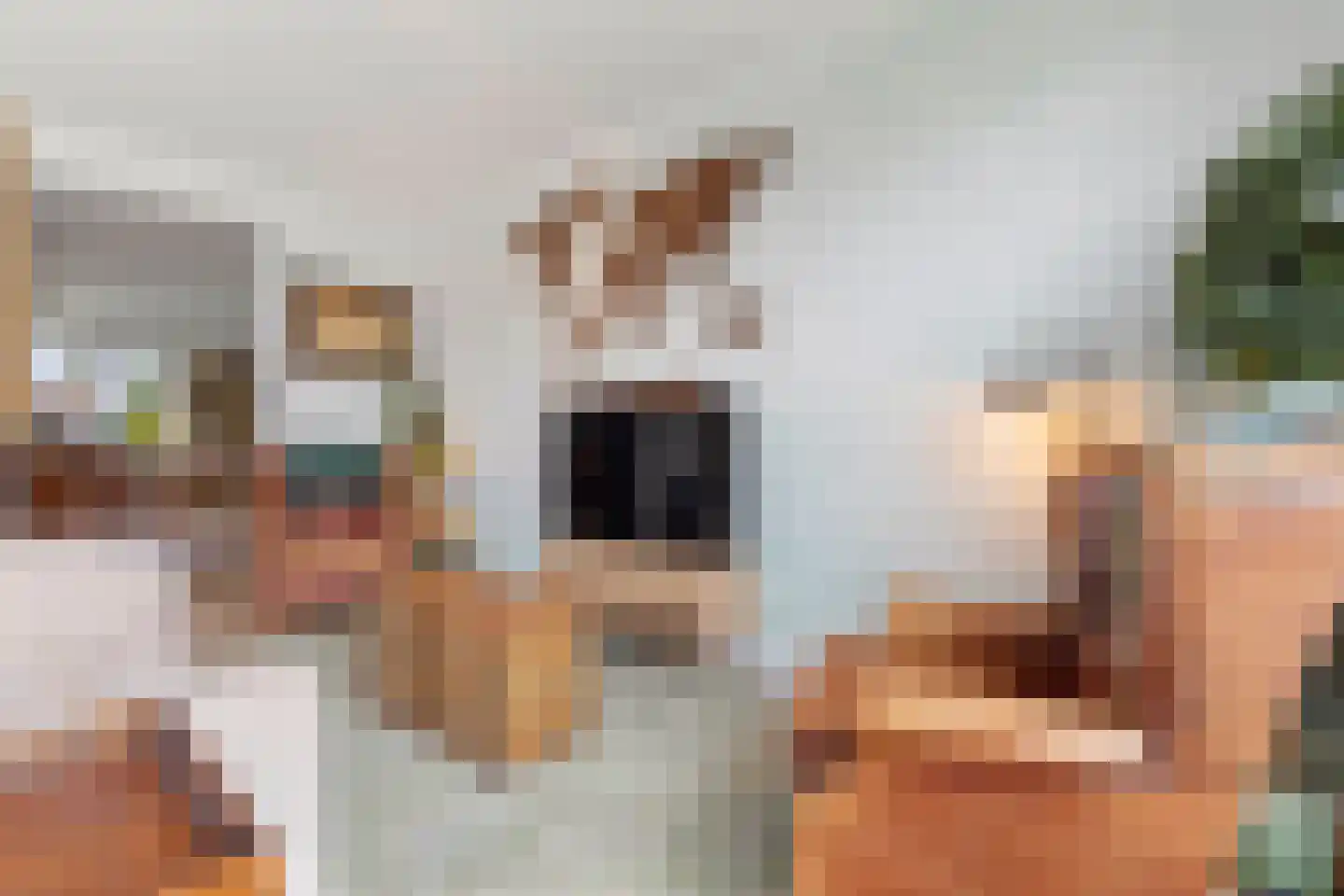 Heer van Rodestraat 114 Mierlo thumbnail 26