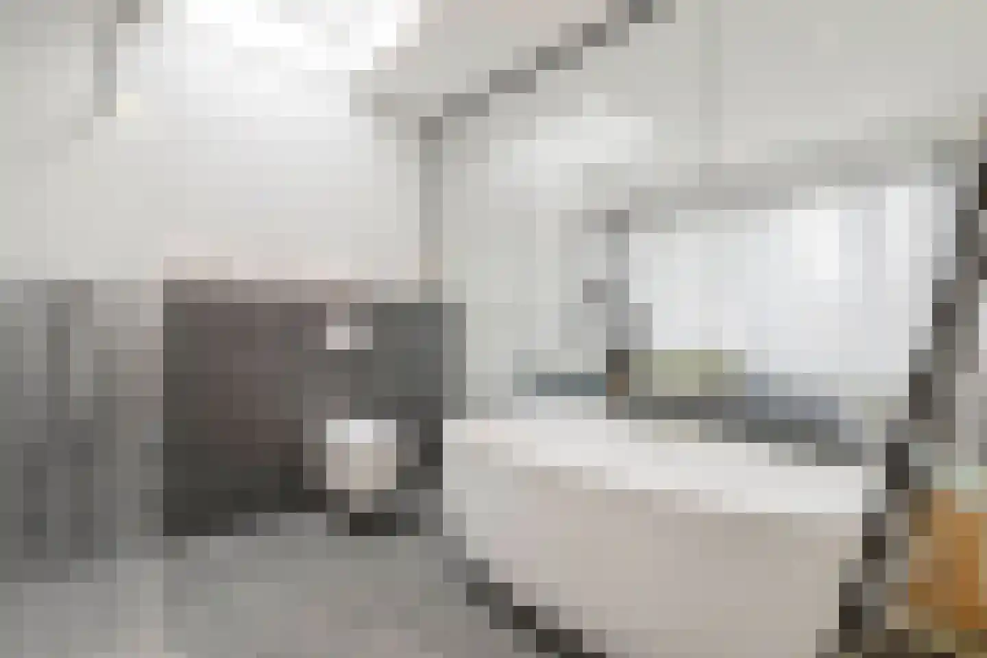 Heer van Rodestraat 114 Mierlo thumbnail 29