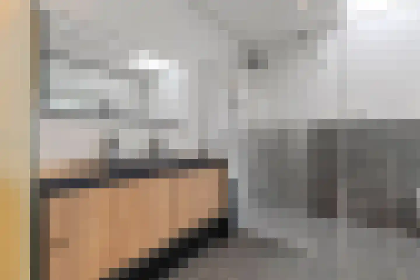 Heer van Rodestraat 114 Mierlo thumbnail 30