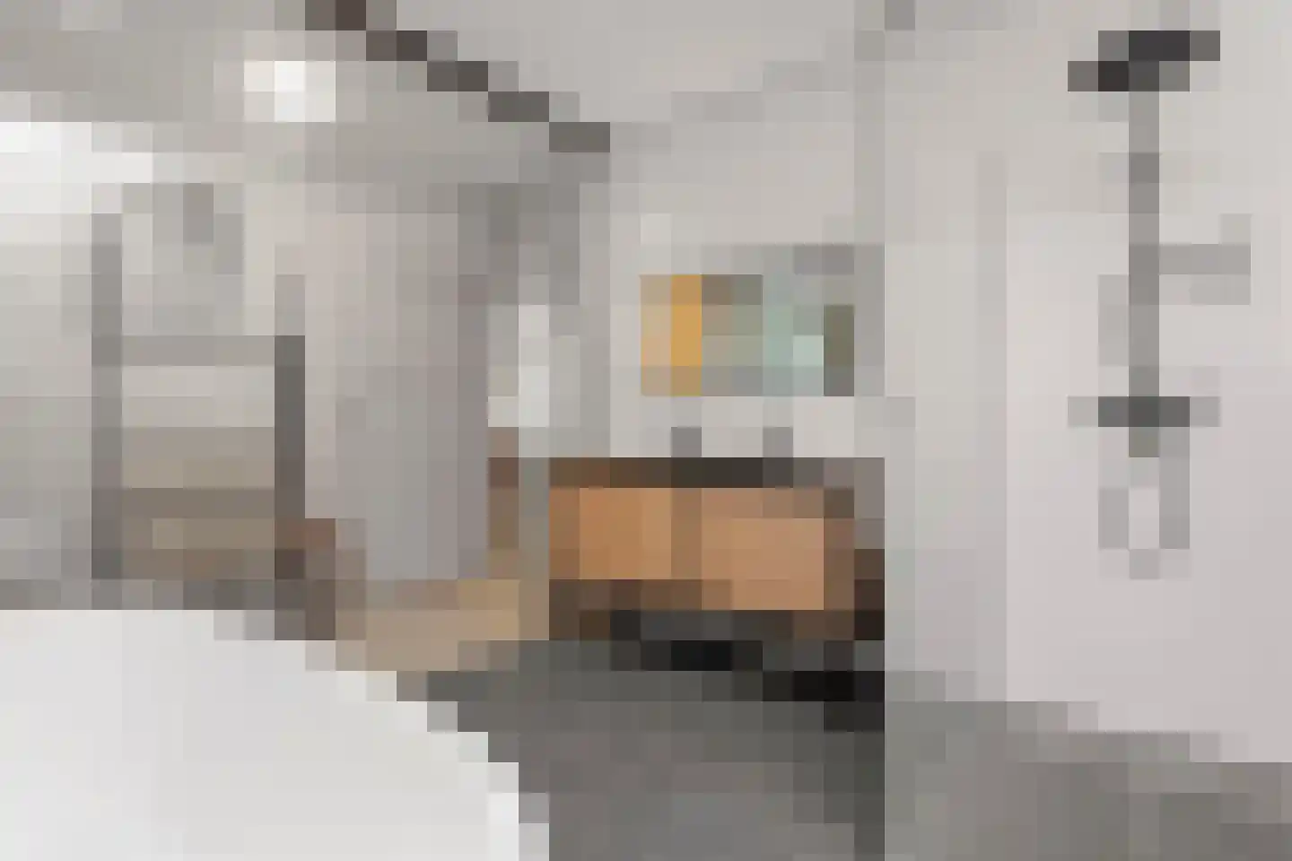 Heer van Rodestraat 114 Mierlo thumbnail 31