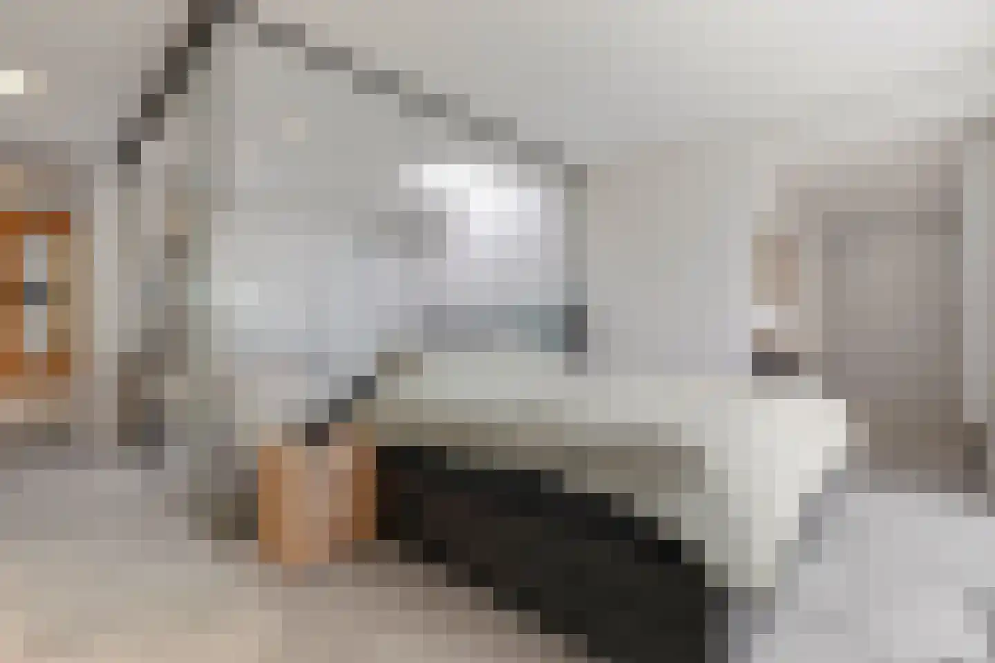 Heer van Rodestraat 114 Mierlo thumbnail 32