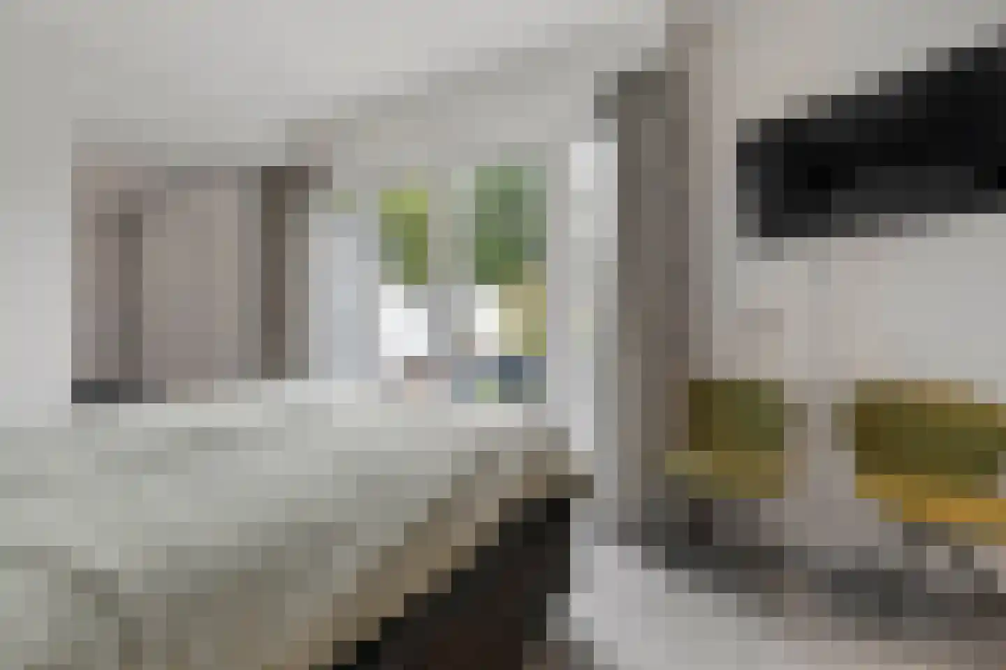 Heer van Rodestraat 114 Mierlo thumbnail 34