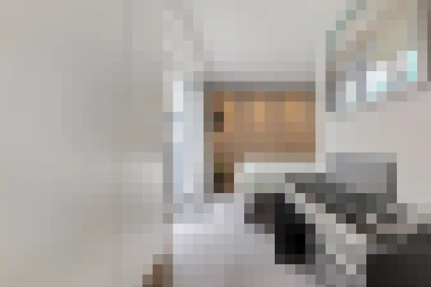 Heer van Rodestraat 114 Mierlo thumbnail 35
