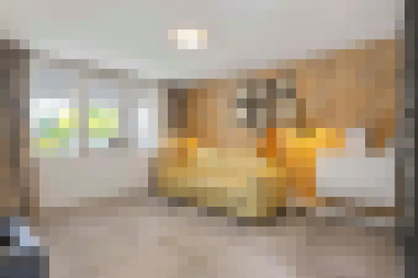Heer van Rodestraat 114 Mierlo thumbnail 36