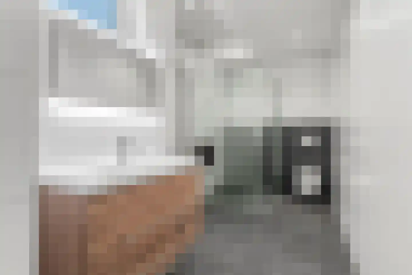 Heer van Rodestraat 114 Mierlo thumbnail 39