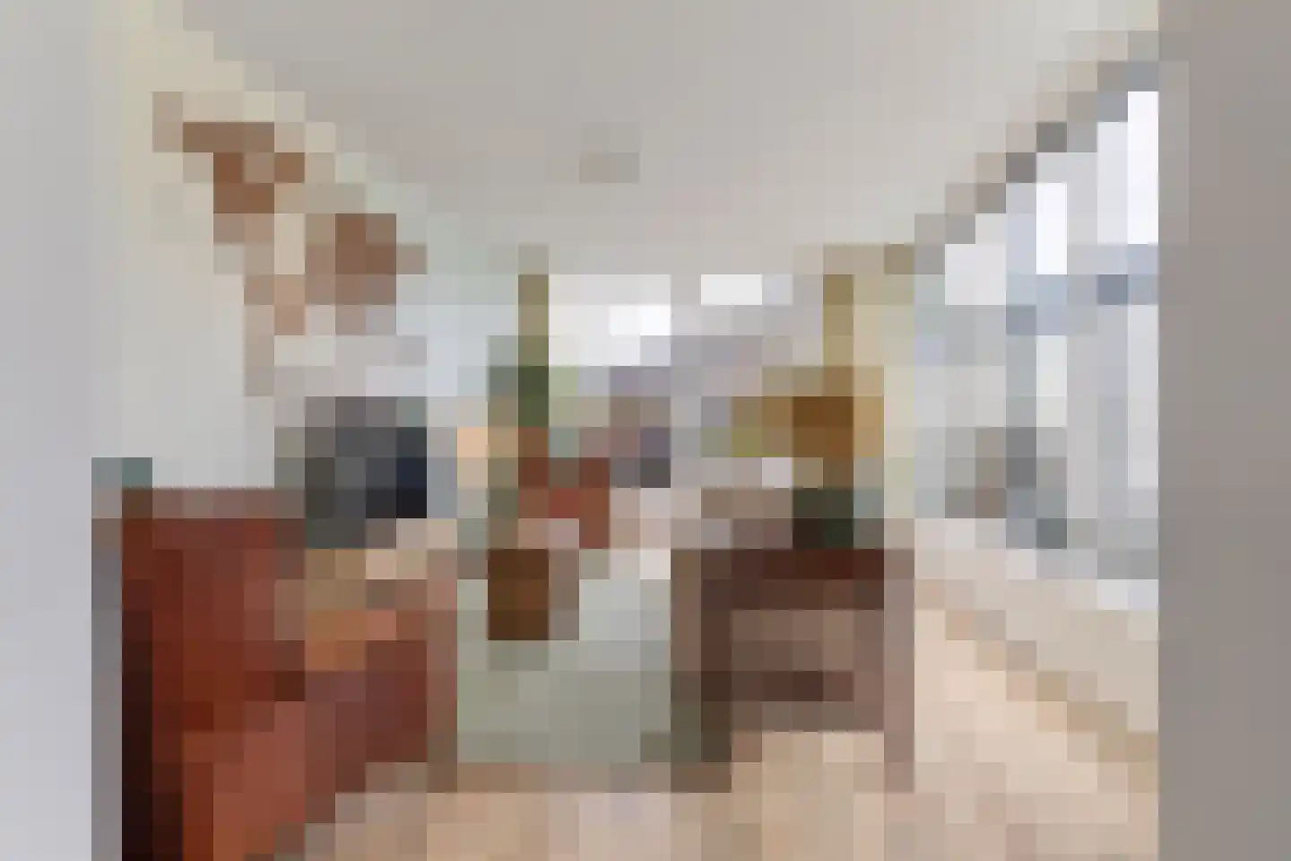 Heer van Rodestraat 114 Mierlo thumbnail 4