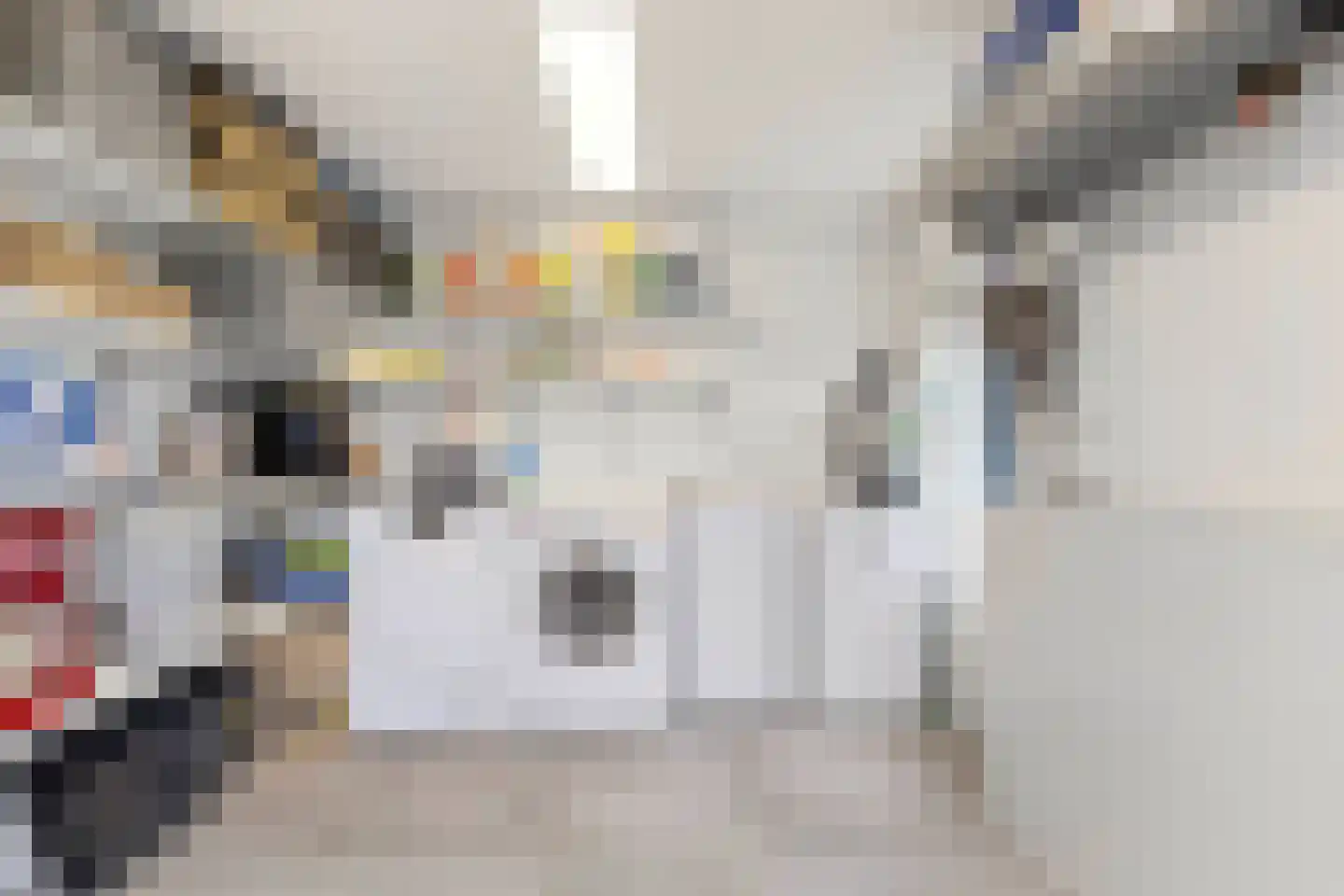 Heer van Rodestraat 114 Mierlo thumbnail 42