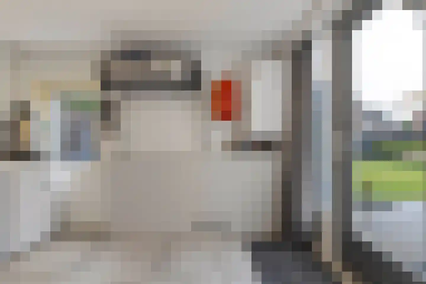 Heer van Rodestraat 114 Mierlo thumbnail 43